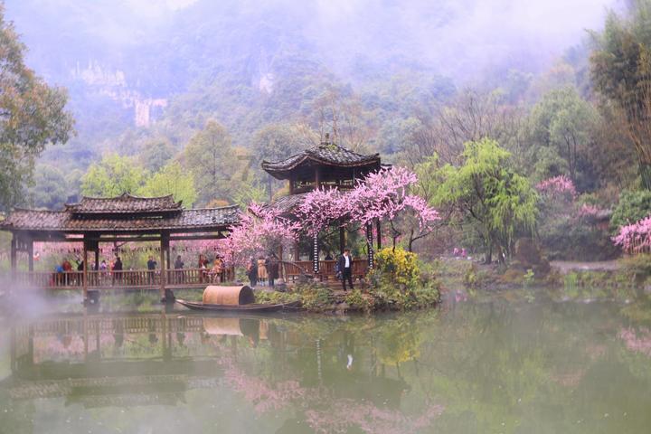 蜂王救援