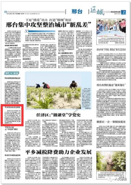 燃烧吧大脑装瓶子游戏