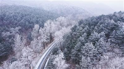 逃离空旷大街6